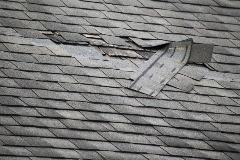 Roof Damage Assessment